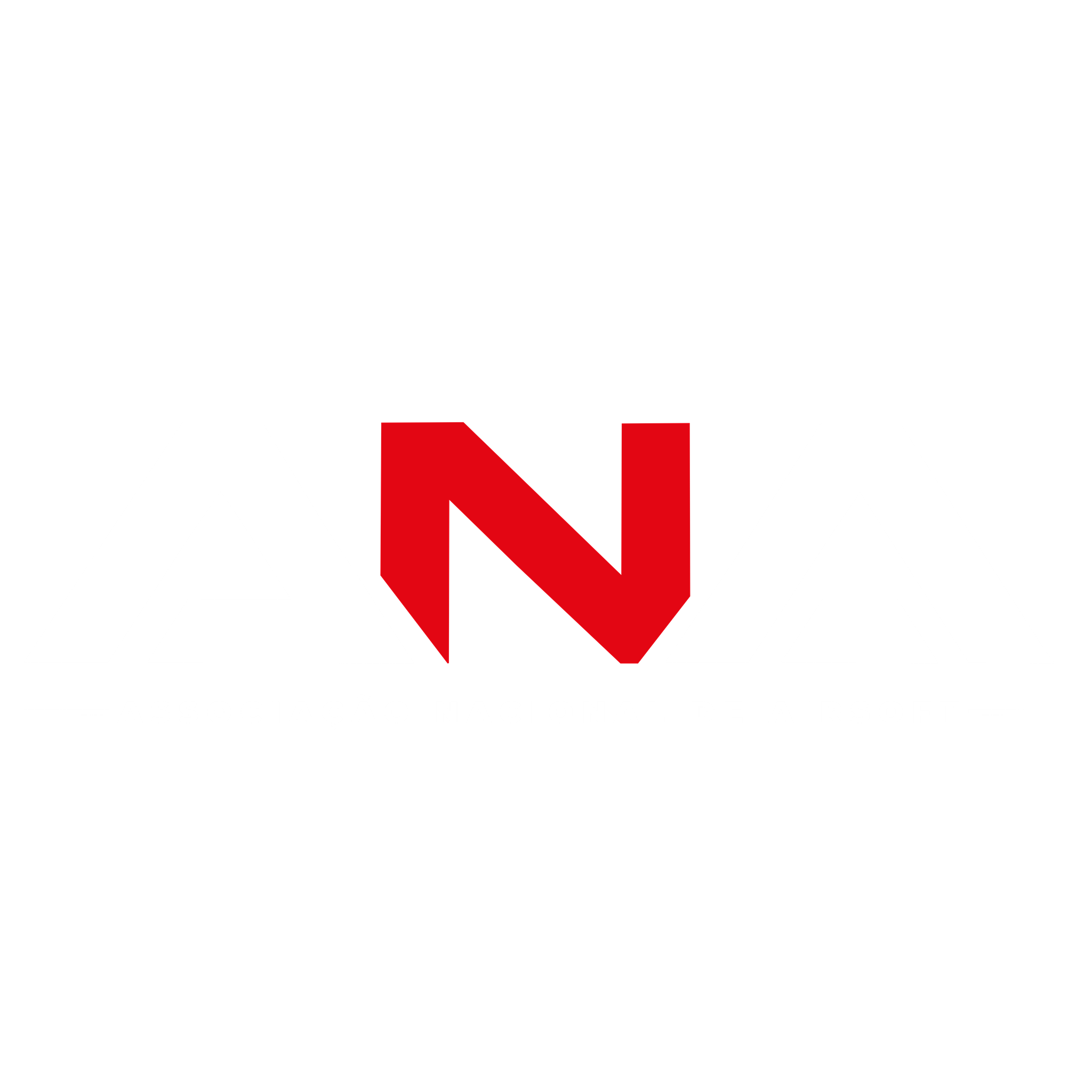Associação Nacional de Airsoft